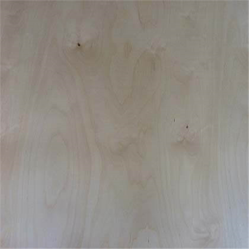 PLYWOOD DESIGNER PLY BIRCH AB – 2440 x 1220