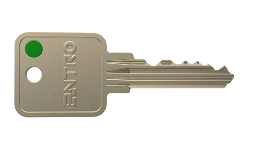 ARCHITECTURAL KEY CUT ENTRO