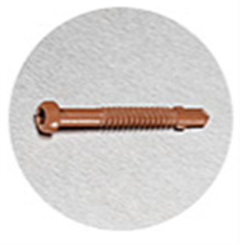 SCREWS for MODWOOD/XTREME/EVALAST METAL FIX #410 STAINLESS STEEL