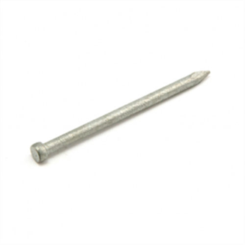 Nails Bullet Head Galvanised 500G | Agnew Building Supplies