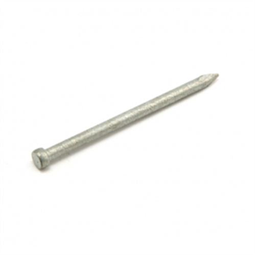 NAILS BULLET HEAD GALVANISED