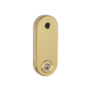 ZANDA DEADBOLT (STEALTH) SMART LOCK with 60mm BACKSET,