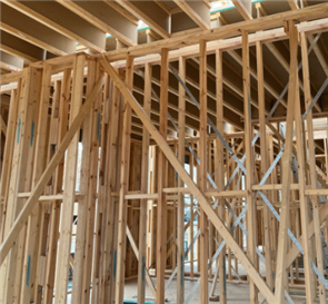 Spec Frame 10.0 LVL H2S 70 X 35MM