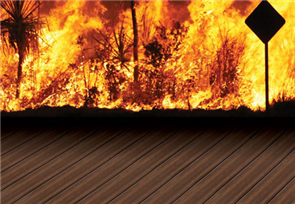 MODWOOD FLAME SHIELD BLACKBEAN 137 x 23 x 5400mm